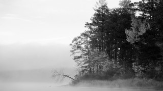 Foggy river black white photo - derold page free wallpaper