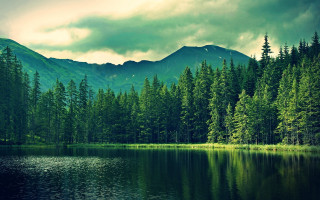 Lake trees mountains cloudy sky 5 - a green sky free wallpaper