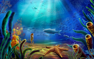 Starfish marine life blue ocean - a blue ocean free wallpaper