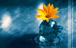 Yellow flower blue vase table - a blue vase free wallpaper