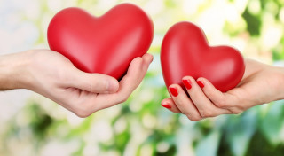 Two hands holding red heart 2 - a red heart free wallpaper