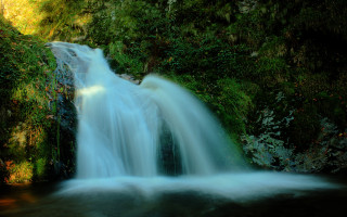 Waterfall mossy wall stream woods - mossy free wallpaper