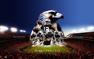 Football stadium eagle player helmet - conroy maddox free wallpaper