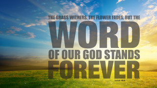 Field sky bible quote landscape - a sky background and a quote free wallpaper