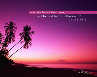 Sunset palm trees bible verse - a sunset free wallpaper