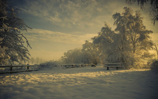 Snowy park benches trees sunbeam - the sky free wallpaper