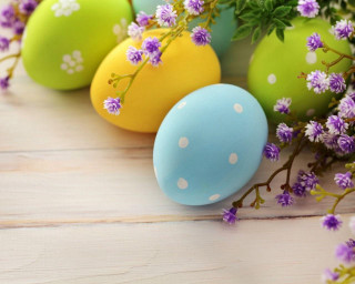 Colorful eggs table flowers plant - a plant free wallpaper