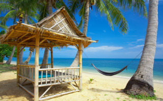 Hammock beach palm trees ocean 2 - tranquil free wallpaper for desktop