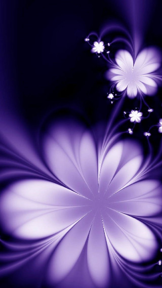 Purple flower white petals black 2 - abstract art free wallpaper