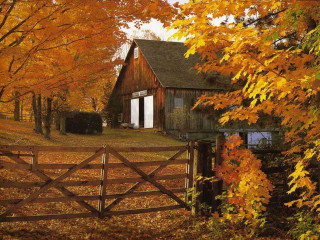 Barn trees fall foliage fence - fall foliage free wallpaper
