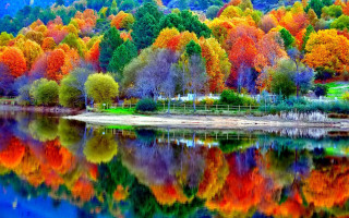 Lake trees colorful leaves hillside - a lake free wallpaper