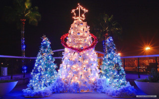 Christmas tree lights decorations night - palm tree free wallpaper