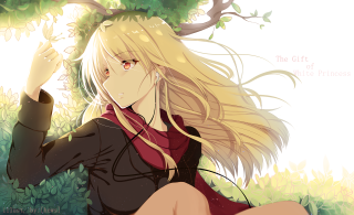 Girl blonde hair sitting grass - flowing hair free wallpaper