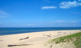 Beach trees water clouds background - free beach wallpaper