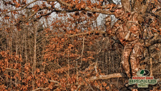 Man camouflage tree branch moss - the wood free wallpaper