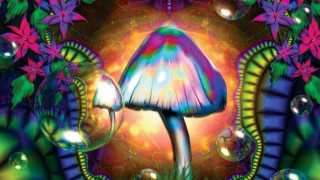 Mushroom bubbles flowers psychedelic design - psychedelic art free wallpaper
