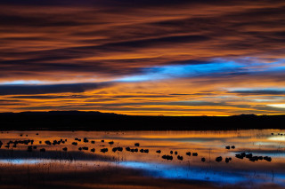 Sunset birds mountain clouds ocean - mystical free wallpaper
