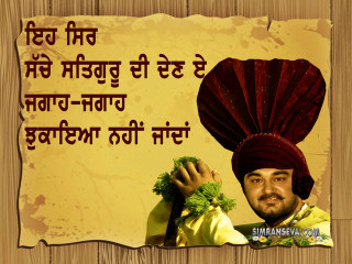 Man turban holding green plant - a sign free wallpaper