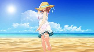 Woman hat beach ocean blue - a woman in a hat free wallpaper