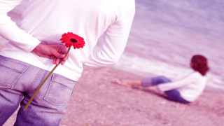 Man holding flower beach kneeling - romantic free wallpaper