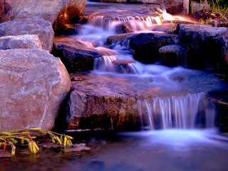Waterfall garden rocks plants pond - rock free wallpaper