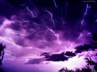 Purple sky lightning clouds trees - lightning free wallpaper
