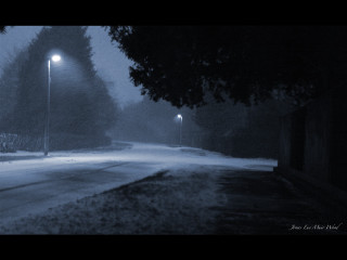 Snowy street moonlight forest night - a street free wallpaper