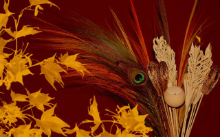 Vase feather green eye yellow - ecological art free wallpaper