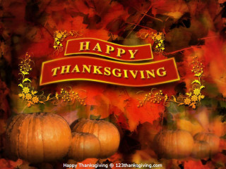 Thanksgiving card pumpkins fall background - color free wallpaper