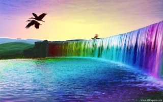 Bird flying waterfall rainbow background 3 - andries stock free wallpaper