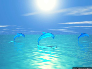 Three dolphins swimming ocean sunshine - wave free wallpaper
