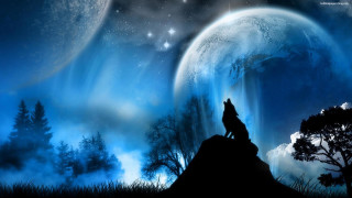 Wolf hill moon stars sky - full moon free wallpaper