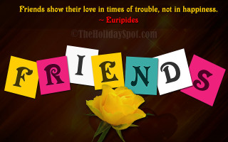Yellow rose friends sign yellow - a yellow rose free wallpaper