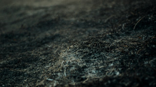 Dirt pile closeup blurry background - a blurry background of grass and dirt free wallpaper
