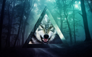 Wolf forest triangle background light - a triangle free wallpaper