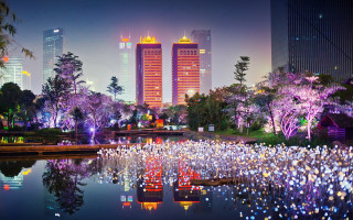 City skyline lake trees foreground - bruce munro free wallpaper
