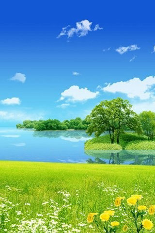 Green field flowers trees lake 2 - beautiful landscape free wallpaper
