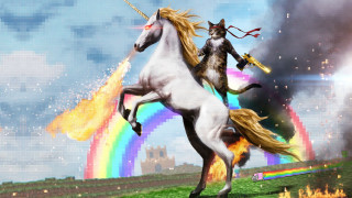 Cat riding unicorn rainbow field - epic fantasy free wallpaper