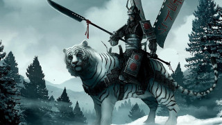 Man riding white tiger forest - epic fantasy character art free wallpaper