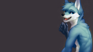 Blue white wolf standing paws - its paw free wallpaper