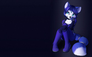 Blue purple furry cat portrait - a white cat free wallpaper