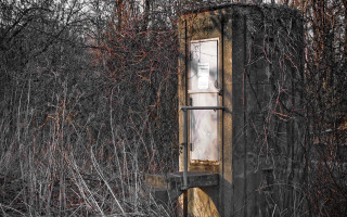 Door field dead grass trees - a window in the middle of it free wallpaper