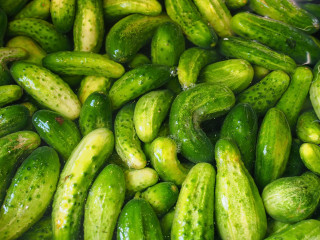 Cucumbers pile table top abundance - a table top free wallpaper