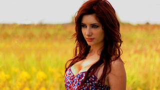 Woman autumn field flowers redhair - a field of flowers free wallpaper