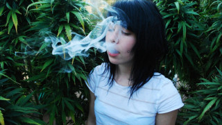 Woman smoke bush park white - a park area free wallpaper