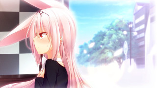 Pink hair bunny ears checkered - a city street free wallpaper