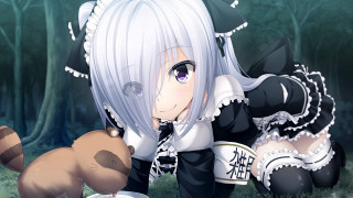 Anime girl white hair teddy - white hair free wallpaper