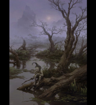 Man sitting tree branch swamp - a tree branch free wallpaper