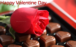 Rose chocolates valentines day card - romantic free wallpaper