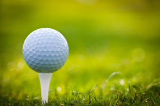 Golf ball tee grass blurry - a golf ball free wallpaper